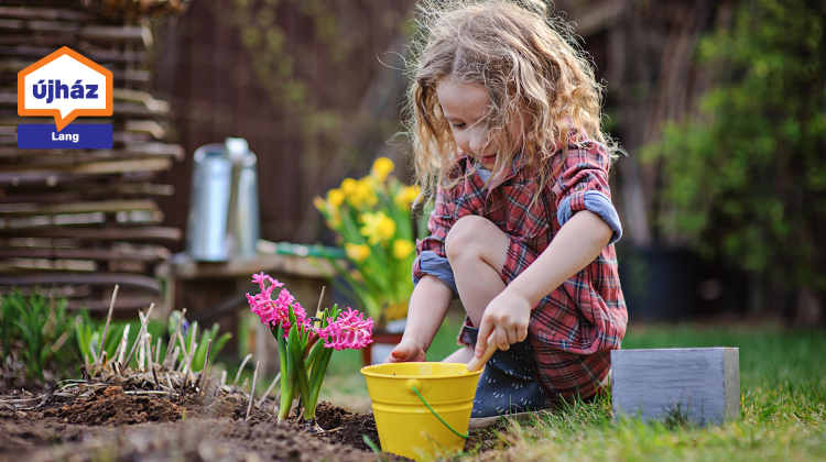 Kertszépítés felsőfokon: kerítés, virágföld és minden, ami kell