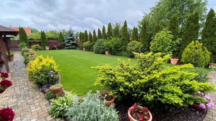 5+1 PRAKTIKA A CSODÁLATOS KERTÉRT